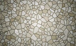 Suspendisse arcu nisl